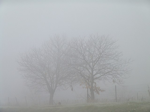 Nieblas